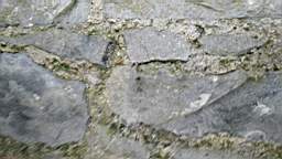 acastle 105585.jpg